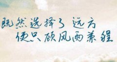 努力励志的微信名字 背着书包闯天下