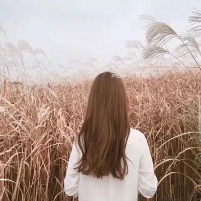 2019最新微信网名大全