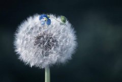 小清新6个字的微博昵称