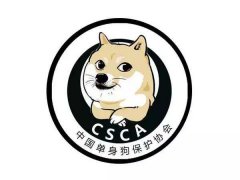 适合单身人士使用的网名【精选】