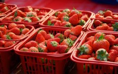 150个关于草莓的网名大全 锁骨草莓印