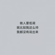 100个带低调二字的网名【精选】 含蓄的小低调