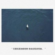 失恋放弃爱情的伤感昵称大全