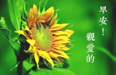100个早安走心的句子 听起来舒服的早安心语