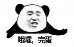 比较个性有点骚的游戏名字 让您受精了