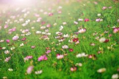 好听唯美细腻的5个字网名大全 来时晴未雨