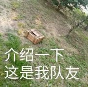 吸引人的吃鸡又菜又皮的名字（120个）