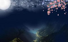 5个字有些遗憾的网名 山海不及君卿