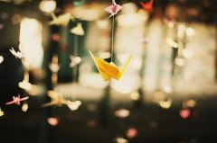 淡淡忧伤的心情说说（100句）