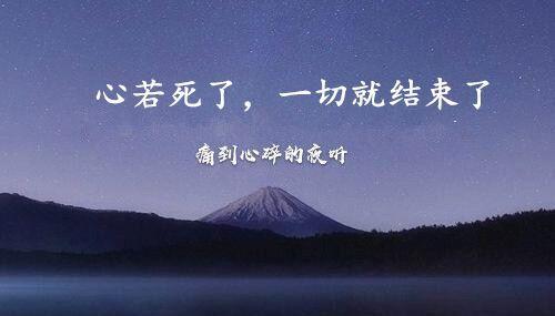 对一个人失望心寒的说说语录（100句）