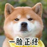 2021最新搞笑的网名大全 满肠子都是你