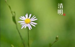 关于清明节的心情短语