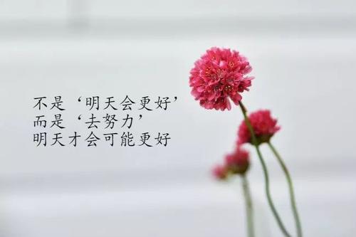 100句关于早安的文案句子 值得收藏