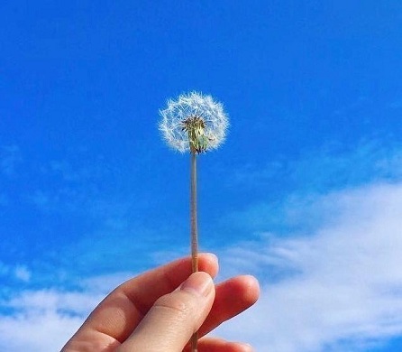 三观很正的文案短句精选