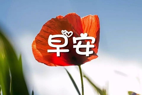 早安极简的句子 早安一句话心情说说（150句）