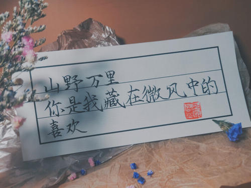 100句写意优美的古风句子文案