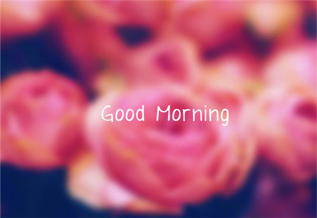 早上好Good Morning的早安图片