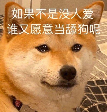 100条舔狗日记 超火有趣的舔狗文案