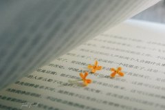关于人间清醒的文案句子大全