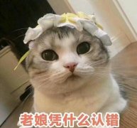 皮一点又蛮可爱的网名大全（100个）