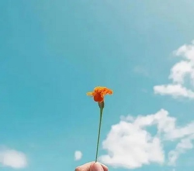 温柔且上进的文案（50句）